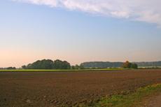 Herbststimmung-24-10-09 012.jpg